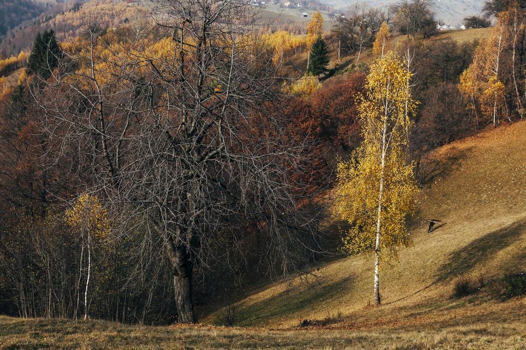 Drumul Carului Villa Moieciu de Jos Exteriér fotografie