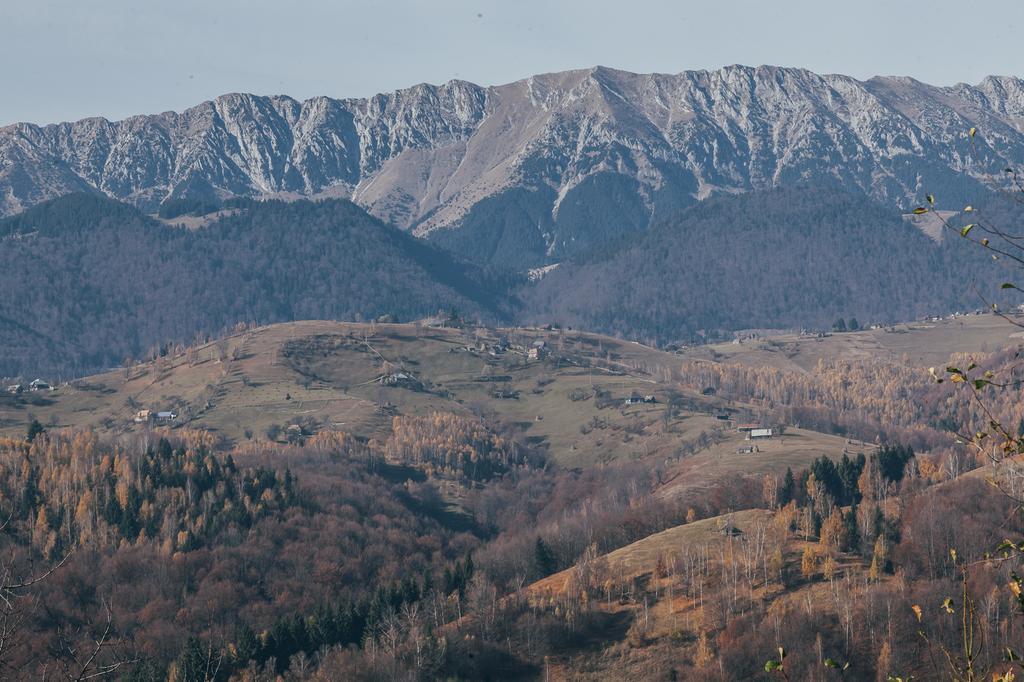Drumul Carului Villa Moieciu de Jos Pokoj fotografie