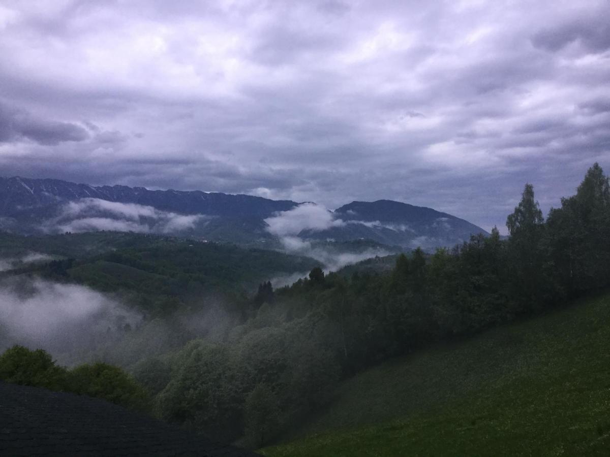 Drumul Carului Villa Moieciu de Jos Exteriér fotografie